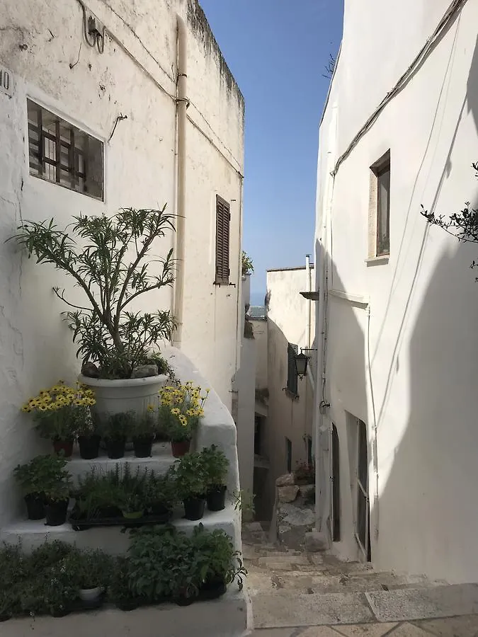 ***  Villa Aurora B&B Bari Italia